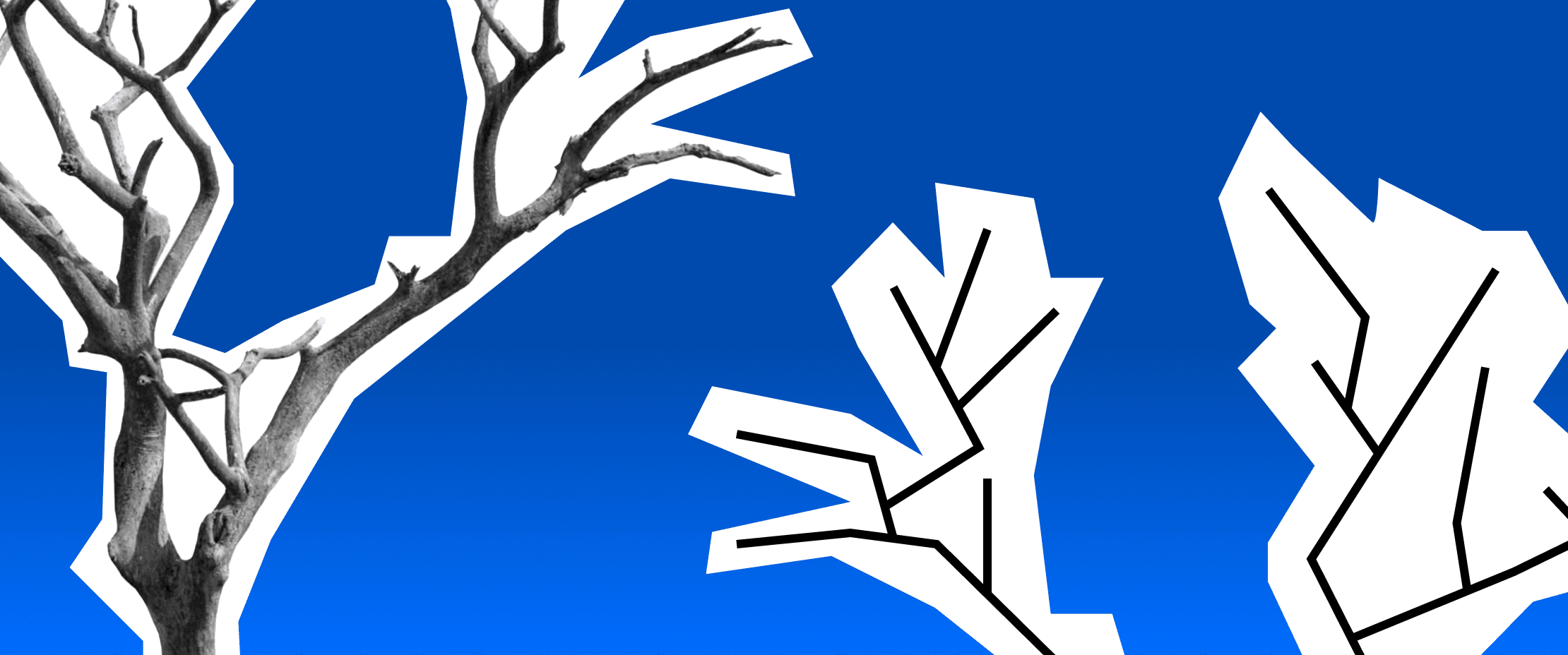 A tree and a simplified tree